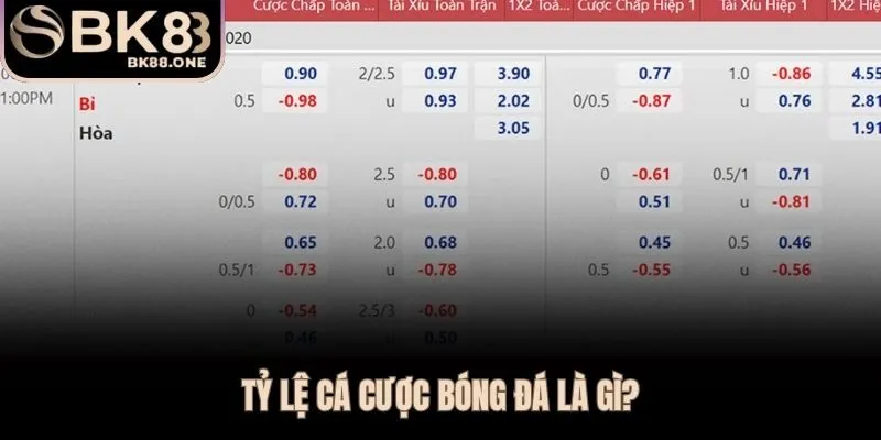 Tỷ Lệ Cá Cược Bóng Đá | Cách Đọc Kèo Và Tính Tiền Tại BK8 Tỷ lệ cá cược bóng đá phản ánh xác suất kết quả và mức thưởng nhà cái trả